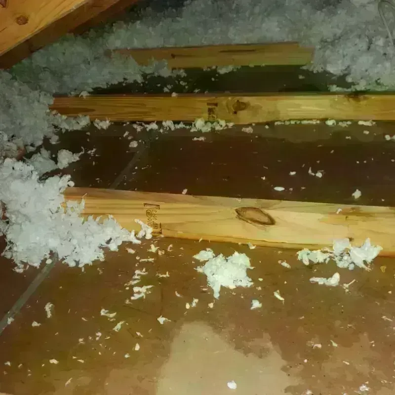 Attic Water Damage in Los Alamos, CA