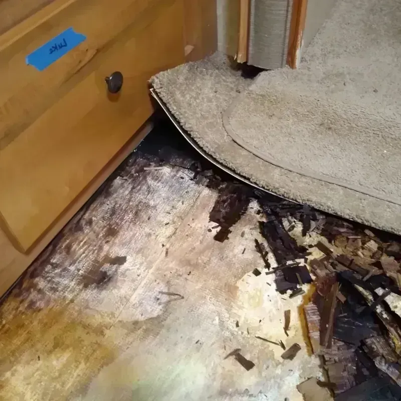 Wood Floor Water Damage in Los Alamos, CA